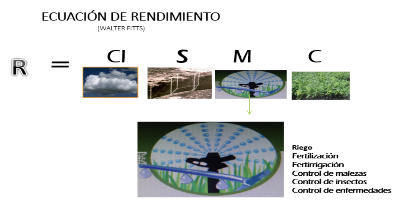 Ecuación de rendimiento